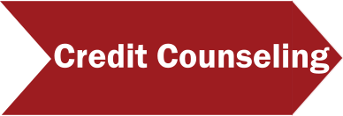 Credit Counseling Icon